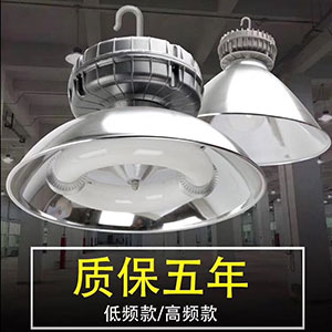 LED無(wú)極燈